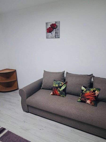 Teiul Doamnei- Colentina- Obor