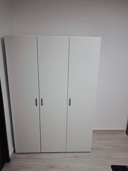 Teiul Doamnei- Colentina- Obor