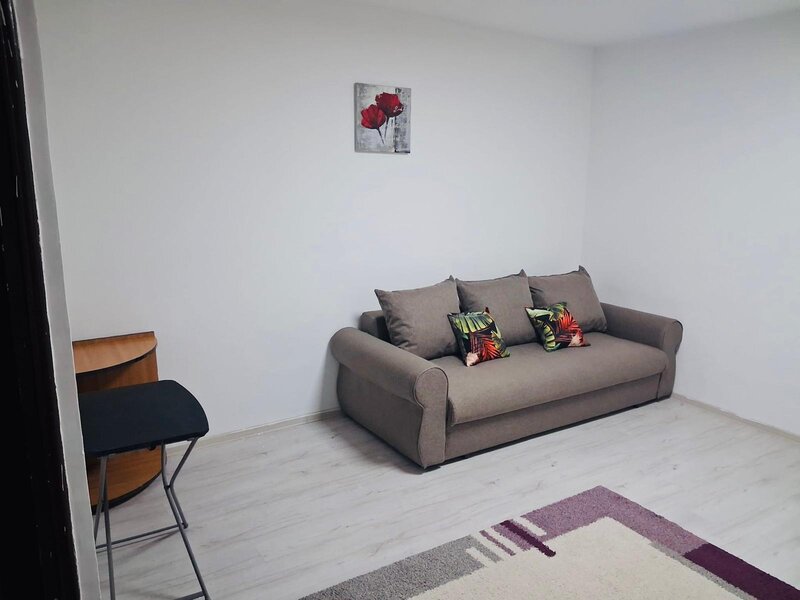 Teiul Doamnei- Colentina- Obor