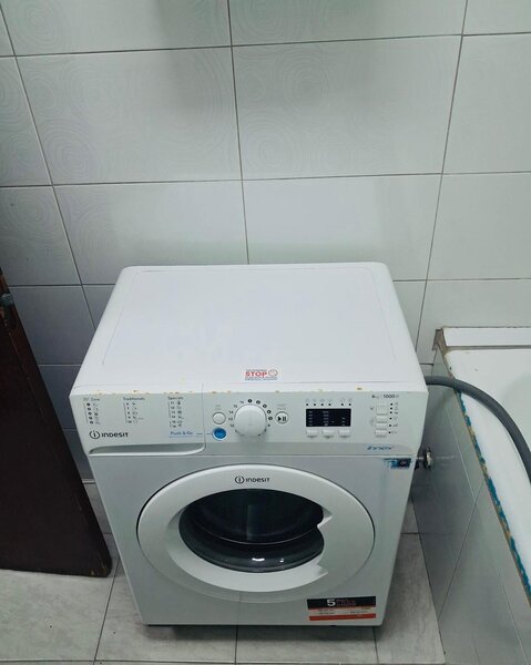 Teiul Doamnei- Colentina- Obor