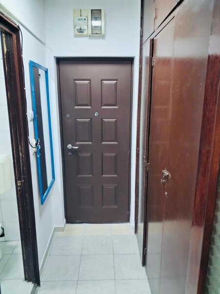 Teiul Doamnei- Colentina- Obor