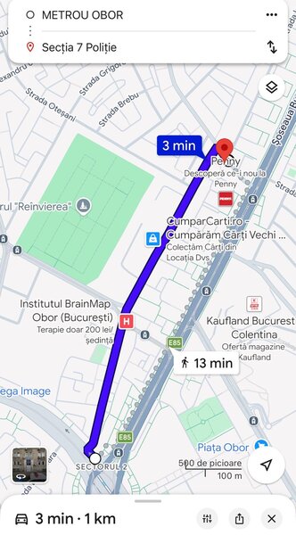 Teiul Doamnei- Colentina- Obor